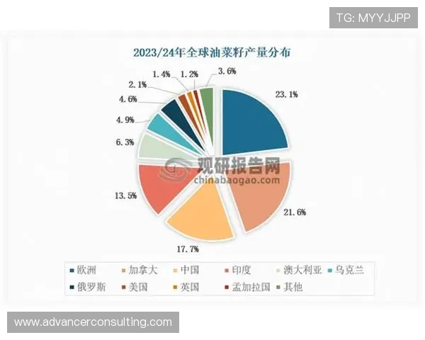 墨西哥与VSM的深度对比分析及其在全球市场中的影响探讨