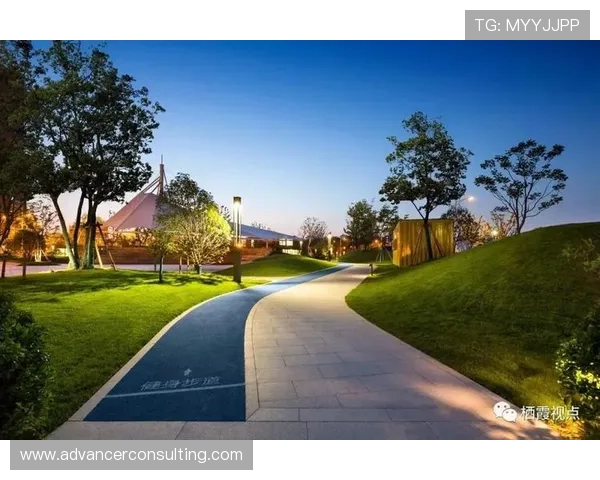 南京极限运动队灵活性分析与表现评估的深入研究与探讨