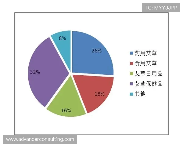 广州足球队意识探讨与发展策略分析及未来展望