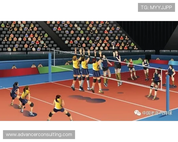 杭州排球队中路突破战术解析与实战应用研究