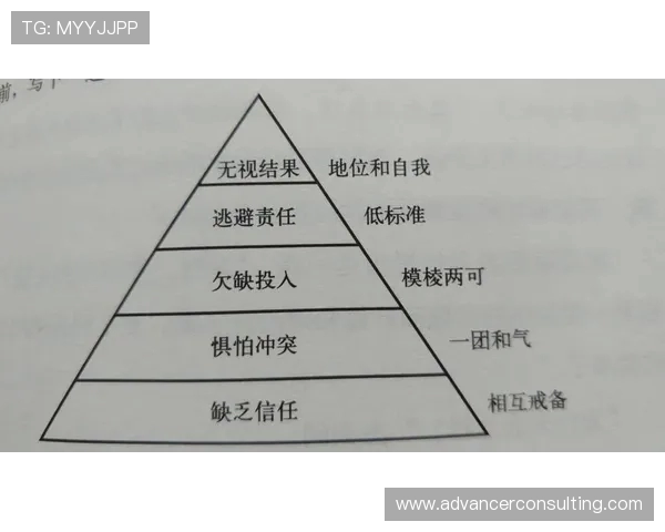杭州篮球队与深圳篮球队赛后复盘团队协作的成功与不足分析